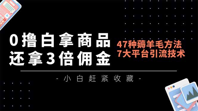0撸白拿商品，还拿3倍佣金，47种薅羊毛方法，7大平台全方位引流技术教学，精专月入过万-小目标云网创