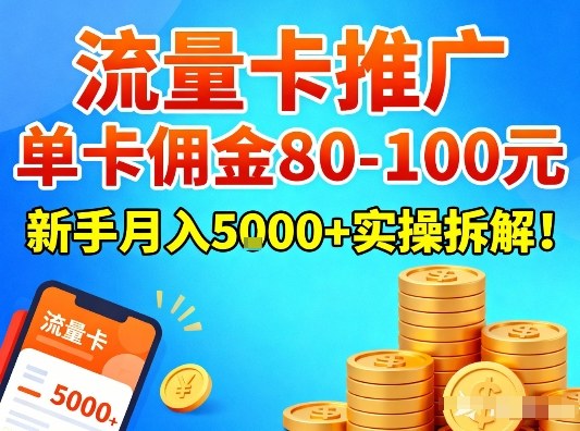 流量卡推广，单卡佣金80-100，新手月入5k+实操拆解！-小目标云网创