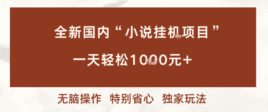 全新国内小说挂G项目，多窗口无脑跑，一天轻松1k+，特别省心【揭秘】-小目标云网创